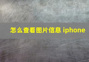 怎么查看图片信息 iphone